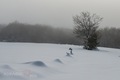 Fogy Snow