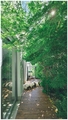 in the jungle,…