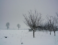 Dva Daltona i …