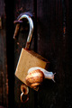 Unlocked Journ&hellip;