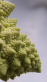 romanesco