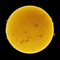 Sunce Ha
