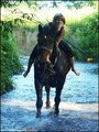 Galop kroz vodu
