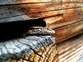 Hide N' S&hellip;