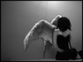 angel wings