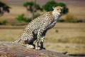 wildlife in it&hellip;