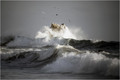 Birds of Storm&hellip;