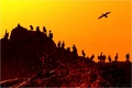 Bloody Sunset &hellip;