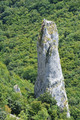 Veliki toranj