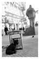 Novo u Zagrebu
