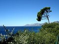 bura podno Bio…