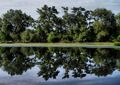 refleksija II