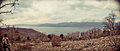 Pogled sa Cres…